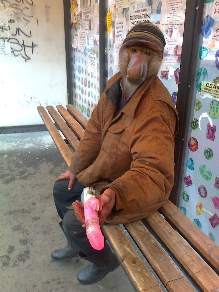 Lustige Affen Menschen Bilder - Liebe an Bushaltestelle