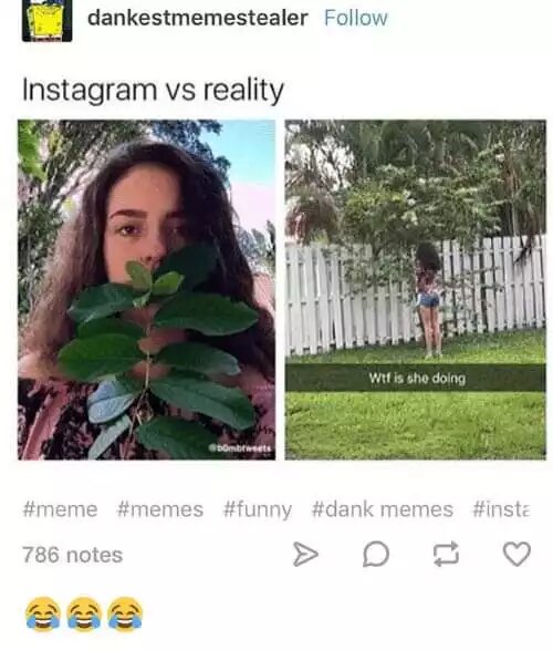 Lebe, um zu posten: Wie Instagram uns zu glücklichen Idioten trainiert Internet, Komische Begebenheiten des Lebens, Lustige Bilder | Die Kirche des heiligen Al Bundy 29. Juli 2024 4