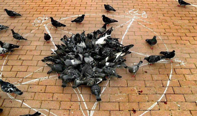 Versteckte Pentagramme im Alltag witzige Bilder%20(2) Lach dich schlapp: Lustige Bilder für den Spaßfaktor Versteckte Pentagramme: Wenn deine Sternzeichnungen das Tor zur Hölle öffnen Alltag, Lügen, Lustige Bilder, Lustiges | Die Kirche des heiligen Al Bundy 14. November 2023 10