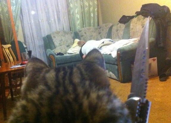 Wenn die Schwiegermutter zu besuch ist und auf dem Sofa schläft
