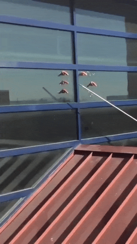 Fenstergucker%E2%80%93lustig skurrile Welt vor deinem Fenster%20(3) Freizeit mit Freude: Entspannung, pur Der Alltag eines Fensterguckers– Entdecke die skurrile Welt direkt vor deinem Fenster Komische Begebenheiten des Lebens, Lustiges über Nachbarn, Öffentlichkeit | Die Kirche des heiligen Al Bundy 26. Mai 2023 8
