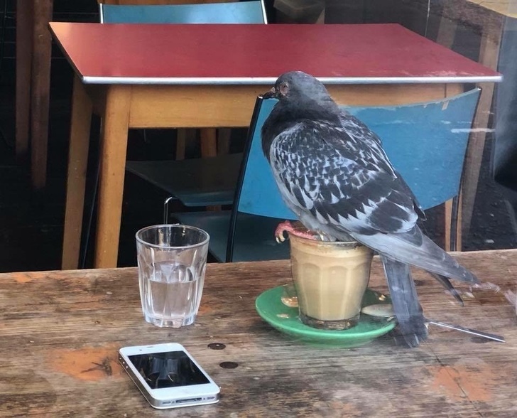 Wenn der Kaffee bitter schmeckt: Der Fluch des verzweifelten Morgenmuffels Kaffee, Komische Begebenheiten des Lebens, Müdigkeit | Die Kirche des heiligen Al Bundy 25. September 2023 1