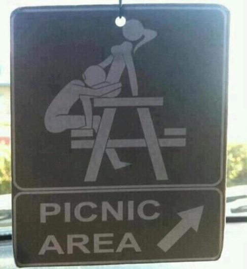 Skurrile Picknick Fotos zum lachen%20(2) Freizeit mit Freude: Entspannung, pur Warum ich Picknicks hasse und trotzdem jedes Jahr eins plane Familie, Freizeit, Humorvolle Alltagsgeschichten, Natur, Öffentlichkeit | Die Kirche des heiligen Al Bundy 1. August 2024 1