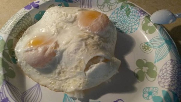 Skurrile Rezept Parodie Kochen mit Alienfleisch lustig%20(12) Heitere Haushaltsmomente mit einem Augenzwinkern Wie man mit Alienfleisch kocht und überlebt: Verrückte Rezepte Parodie Außerirdische, Humorvolle Alltagsgeschichten, Kochen, Tipps | Die Kirche des heiligen Al Bundy 17. März 2024 11