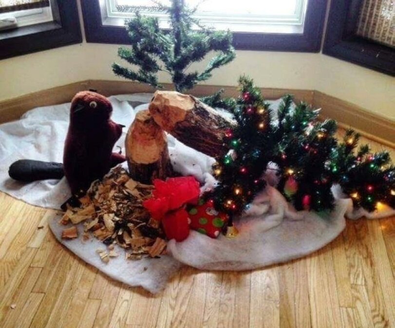 Lustige Weihnachtsbilder 2024 schwarzer Humor%20(14) Party-Time: Feste, Feiern und fröhlicher Wahnsinn Weihnachten 2023: Schwarzer Humor Tipps für ein chaotisches Fest Feiertag, Komische Begebenheiten des Lebens, Weihnachten | Die Kirche des heiligen Al Bundy 10. Dezember 2023 1