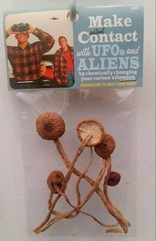 Alien-Invasion als Familie überstehen: Familienbund vs. Alienapokalypse Außerirdische, Familie, Komische Begebenheiten des Lebens, Wissen zum lachen | Die Kirche des heiligen Al Bundy 21. Januar 2024 14