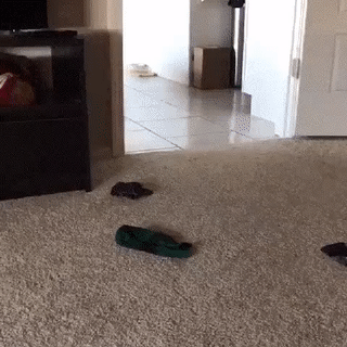 Socken die in der Waschmaschine verschwinden humorvolle Bilder%20(1) Heitere Haushaltsmomente mit einem Augenzwinkern Wie viele Socken verschwinden wirklich in der Waschmaschine? Haushalt, Humorvolle Alltagsgeschichten, Pflichten, Wäsche waschen | Die Kirche des heiligen Al Bundy 23. Mai 2023 6