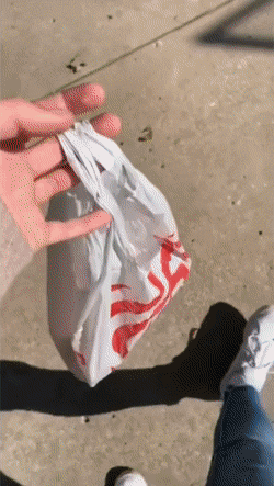 Warum platzen Einkaufstüten ständig und weitere komödiantische Discounter Erlebnisse Beschweren, Einkaufen, Haushalt, Humorvolle Alltagsgeschichten, Lustiges über das Leben | Die Kirche des heiligen Al Bundy 14. Juni 2023 7
