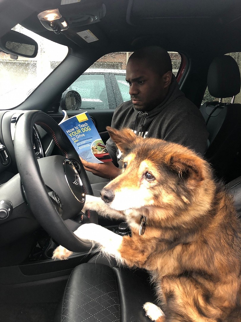 Die Loesung wie bringe ich meinem Hund bei Auto zu fahren Männliche Marotten: Lustiges aus der Männerdomäne Die Lösung, wie bringe ich meinem Hund Auto fahren bei. Hunde habe doch so einen tollen Orientierungssinn.