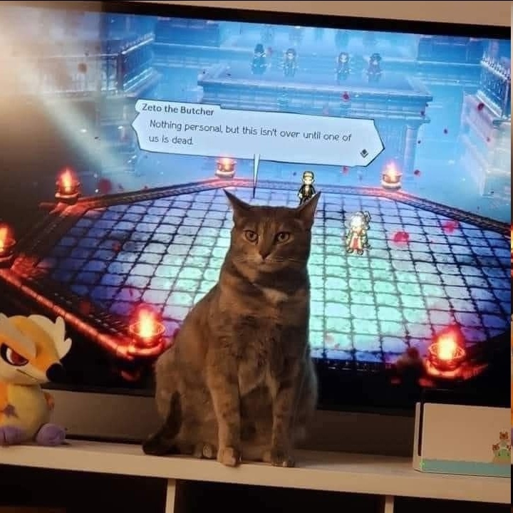 Schmusekatzen die der Boss sind%20(9) Wissenswertes mit Witz und Humor Von Schmusekätzchen und Dosenöffnern: Wie man zum Sklaven seiner Katze wird Haustier, Katzen, Komische Begebenheiten des Lebens | Die Kirche des heiligen Al Bundy 30. Juli 2023 2