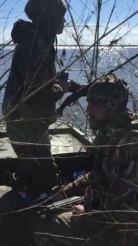 Schlechter Ratschlag betrunkener Freunde witzige animierte Gifs%20(3) Hopfen und Humor: Die Welt des Biers Warum du aufhören solltest, Rat von deinen betrunkenen Freunden anzunehmen Bier, Komische Begebenheiten des Lebens, Lustiges über das Leben, Schadenfreude | Die Kirche des heiligen Al Bundy 11. Mai 2024 8