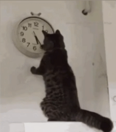 Chronisch zu sp%C3%A4t kommen lustiges zum lachen%20(3) Motivation mit einem Augenzwinkern: Lachen für die Seele Chronisch zu spät - Die Lebenskunst, der Uhr immer einen Schritt hinterher zu hinken Beschweren, Komische Begebenheiten des Lebens, Lustiges über das Leben, Wissen zum lachen | Die Kirche des heiligen Al Bundy 9. August 2023 13