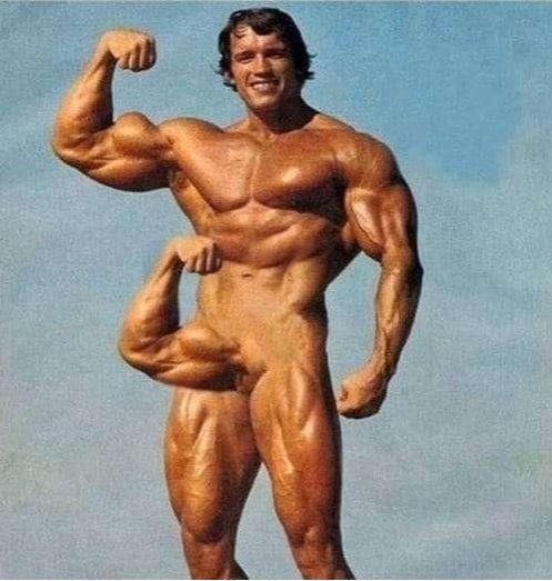 Bodybuilding lustig Eitelkeit beim Muskelaufbau%20(1) Muskelkraft und Schenkelklopfer: Fitness mit Humor Wieso können Bodybuilder keinen Spiegel passieren, ohne ihre Muskeln anzuspannen? Fitness, Komische Begebenheiten des Lebens, Muskeln | Die Kirche des heiligen Al Bundy 2. August 2023 4
