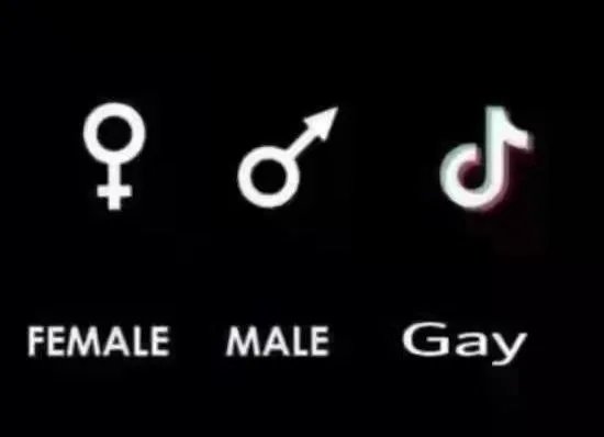 Sarkastischer lgbtqia Satire Humor%20(5) Motivation mit einem Augenzwinkern: Lachen für die Seele So wirst du heute noch für schwul/lesbisch gehalten Komische Begebenheiten des Lebens, Liebesleben, Lustiges über das Leben | Die Kirche des heiligen Al Bundy 23. August 2024 4