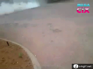 Wie erkennt man Dummheit lustige Gifs%20(1) Menschliche Marotten: Lustige Geschichten aus dem Leben Wie identifiziere ich dumme Menschen in meinem Umfeld? Dumm, Komische Begebenheiten des Lebens, Lustige Menschen, Lustiges über das Leben | Die Kirche des heiligen Al Bundy 19. November 2023 3