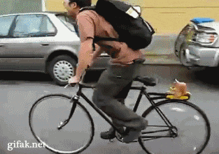 Fahrrad-Frust: Wenn Pedale und Nerven beansprucht werden Komische Begebenheiten des Lebens, Lustiges über das Leben, Öffentlichkeit, Sport | Die Kirche des heiligen Al Bundy 18. September 2023 10