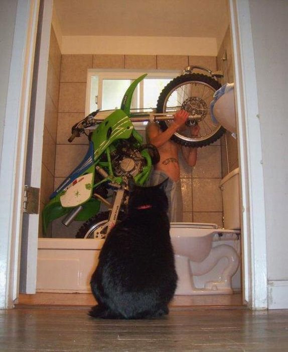 Dusche lustige Spassbilder mit Witz%20(1) Komische Familienabenteuer und schräge Verwandtschaft Die tägliche Dusche mit Witz meistern, ohne die Familie zu terrorisieren Alltag, Am Morgen, Humorvolle Alltagsgeschichten, Hygiene | Die Kirche des heiligen Al Bundy 6. Dezember 2023 2