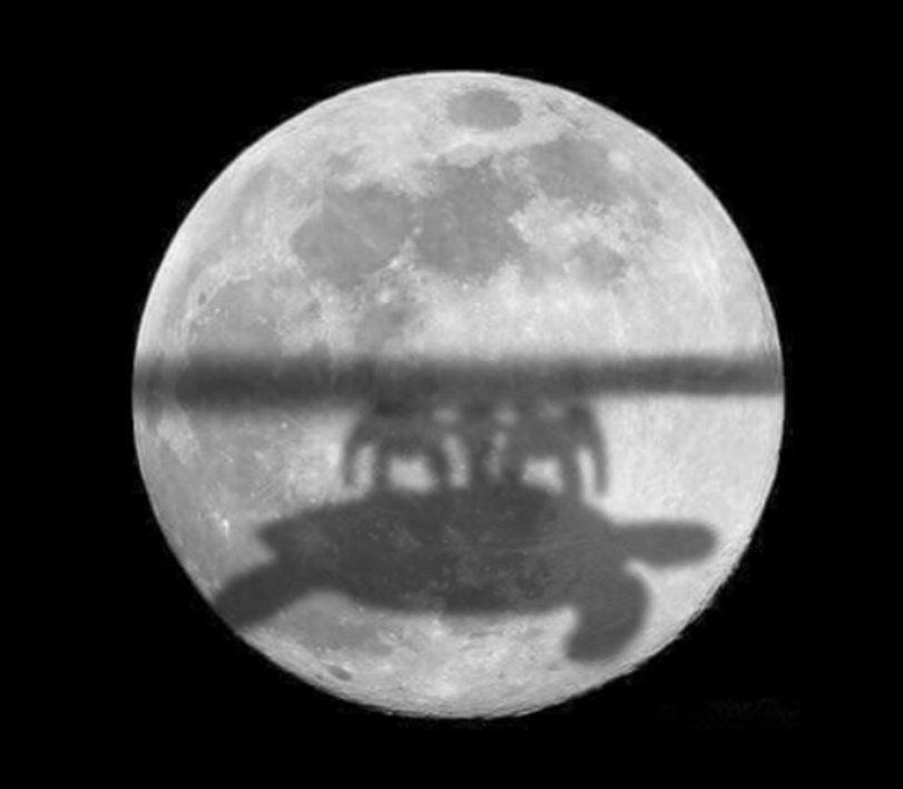 Lustige die Erde ist ein Scheibe Beweise zum lachen%20(12) Wissenswertes mit Witz und Humor Beweise, warum die Erde flach ist: Lustige Betrachtung der Flat Earth Theorie Dumm, Erklärung, Komische Begebenheiten des Lebens, Lügen, Wissen zum lachen | Die Kirche des heiligen Al Bundy 13. März 2024 6