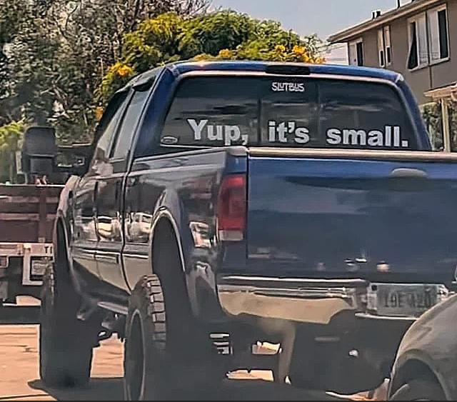 SUV der zugibt das er wirklich klein ist Wissenswertes mit Witz und Humor Typisch Auto, typisch Du! Automarkenklischees im Check Auto, Halbwahrheit, Komische Begebenheiten des Lebens, Öffentlichkeit | Die Kirche des heiligen Al Bundy 24. August 2024 19