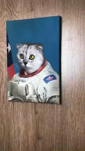 Lustige Parodie vom Wunsch Astronaut zu werden%20(12) Wissenswertes mit Witz und Humor Sterne schauen, ohne zu kotzen: Warum keiner mehr Astronaut werden möchte Beruf, Komische Begebenheiten des Lebens, Lustiges, Wissen zum lachen | Die Kirche des heiligen Al Bundy 2. März 2024 19