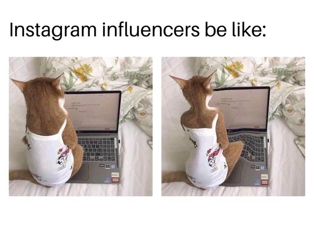 Influencer Marketing: Wie jeder Moment zum #SponsoredContent wurde Internet, Komische Begebenheiten des Lebens, Lustige Menschen | Die Kirche des heiligen Al Bundy 9. Februar 2024 12