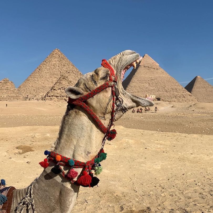 Sarkophag-Satire: Ein humorvoller Streifzug durch das alte Ägypten Komische Begebenheiten des Lebens, Vergangenheit, Wissen zum lachen | Die Kirche des heiligen Al Bundy 21. April 2023 7