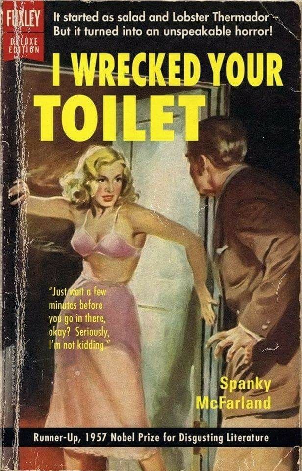 Buchtitel Ich habe deine Toilette verstopft Wissenswertes mit Witz und Humor Buchtitel - Ich habe deine Toilette verstopft