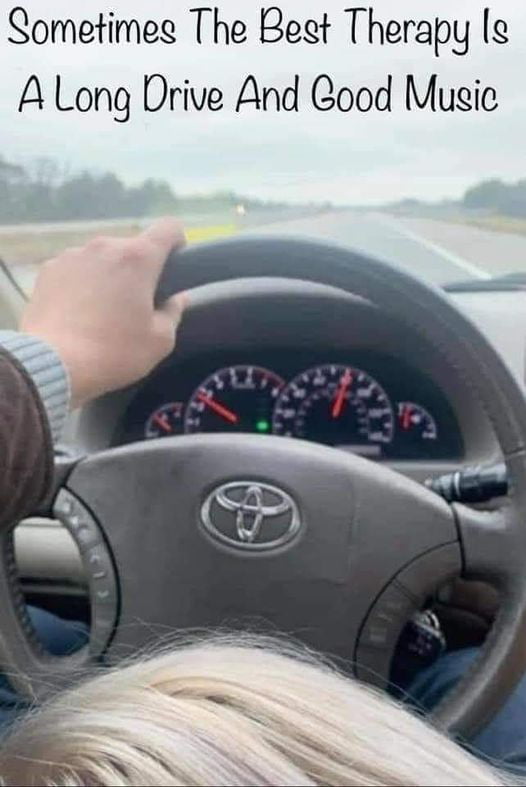 Die typische Toyota Autofahrer Entspannung Wissenswertes mit Witz und Humor Typisch Auto, typisch Du! Automarkenklischees im Check Auto, Halbwahrheit, Komische Begebenheiten des Lebens, Öffentlichkeit | Die Kirche des heiligen Al Bundy 24. August 2024 14