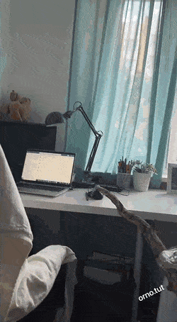 Waehrend Homeoffice schlafen und die Maus bewegen Freizeit mit Freude: Entspannung, pur Während Homeoffice schlafen und die Maus per Ventilator bewegen