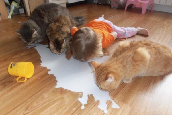 Witze Kindererziehung mit Sarkasmus%20(4) Komische Familienabenteuer und schräge Verwandtschaft Kinder machen unsterblich – oder wie man sich selbst in kleinen Ausgaben reproduziert Familie, Kinder, Komische Begebenheiten des Lebens, Lustiges über das Leben | Die Kirche des heiligen Al Bundy 17. April 2024 16