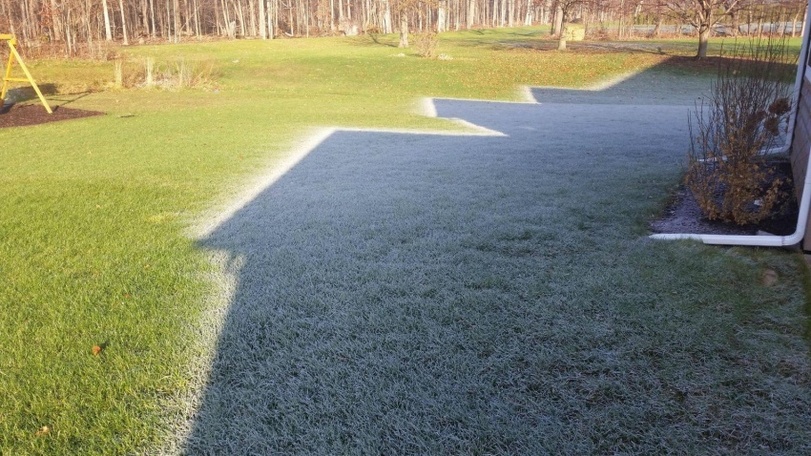 Erwartungen an den Fr%C3%BChling Lenz komisch%20(13) Lustiges über Umwelt, Wetter & Jahreszeitenhumor Warten auf den Frühling: Was uns wirklich nervt, wenn die Blumen blühen Frühling, Genervt, Komische Begebenheiten des Lebens, Natur | Die Kirche des heiligen Al Bundy 3. März 2024 3