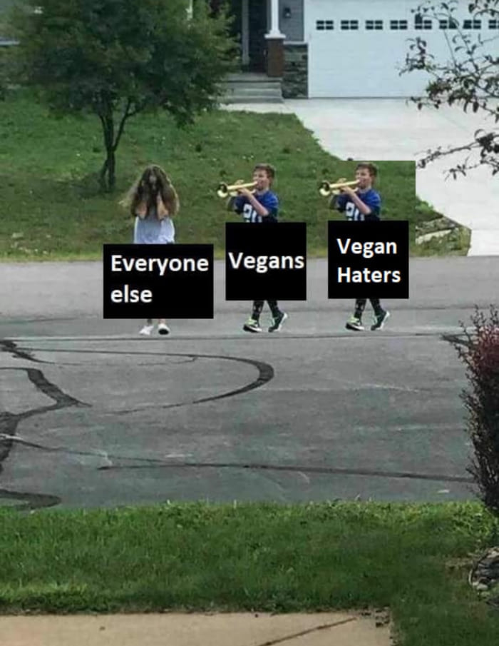 Veganer gegen Fleischesser lustige argumentative Bilder zum lachen%20(4) Wissenswertes mit Witz und Humor Fleischesser und Veganer teilen eine Sache: Sie beide hassen einander Beschweren, Kochen, Komische Begebenheiten des Lebens, Lustige Menschen, Lustiges über Tiere, Streit | Die Kirche des heiligen Al Bundy 4. Januar 2025 3