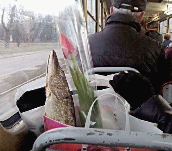 Humorvolle Romantik Bilder zum lachen%20(6) Ehechaos und Beziehungsspaß - Amüsante Liebeserlebnisse Romantische Erlebnisse - Comedy of Errors: Wenn das Kerzenlicht die Tischdecke in Flammen setzt Beziehung, Komische Begebenheiten des Lebens, Liebesleben | Die Kirche des heiligen Al Bundy 1. August 2023 10