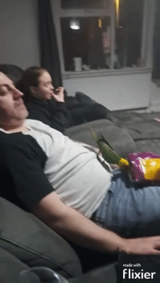 Wie man seine Ehefrau ignoriert, ohne dass sie es merkt Beziehung, Ehefrau, Frau, Komische Begebenheiten des Lebens, Lustiges zu Mann & Frau | Die Kirche des heiligen Al Bundy 25. August 2024 6