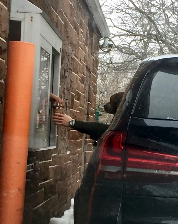 Kaffee – Der unerlässliche Weckruf oder das Lebenselixier der Untoten? Am Morgen, Kaffee, Komische Begebenheiten des Lebens | Die Kirche des heiligen Al Bundy 24. Mai 2023 11