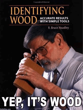 Buch Wie identifiziert man Holz Wissenswertes mit Witz und Humor Buch - Wie identifiziert man Holz