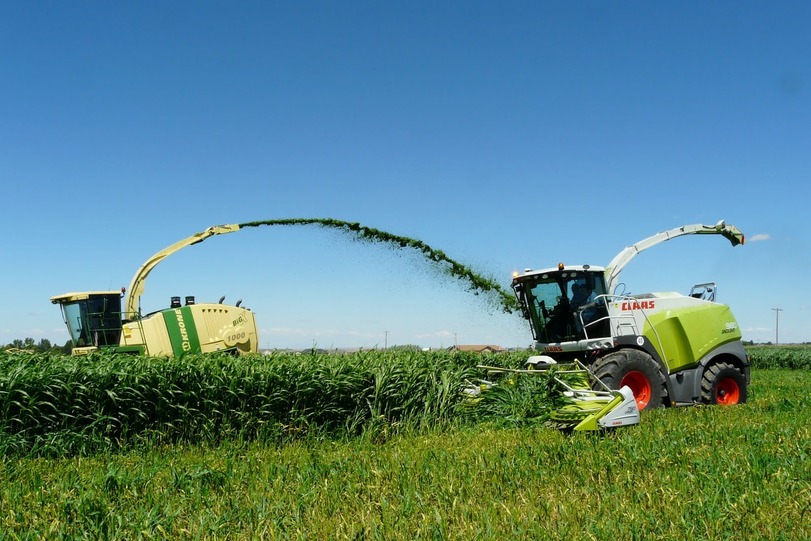 Bauer Landwirtschaft witzige Bilder%20(1) Arbeitswahnsinn und Bürosatire Das Bauernleben: Acker, Stallarbeit und Kuhfladen-Jonglieren Arbeit, Komische Begebenheiten des Lebens, Natur | Die Kirche des heiligen Al Bundy 4. Oktober 2023 5