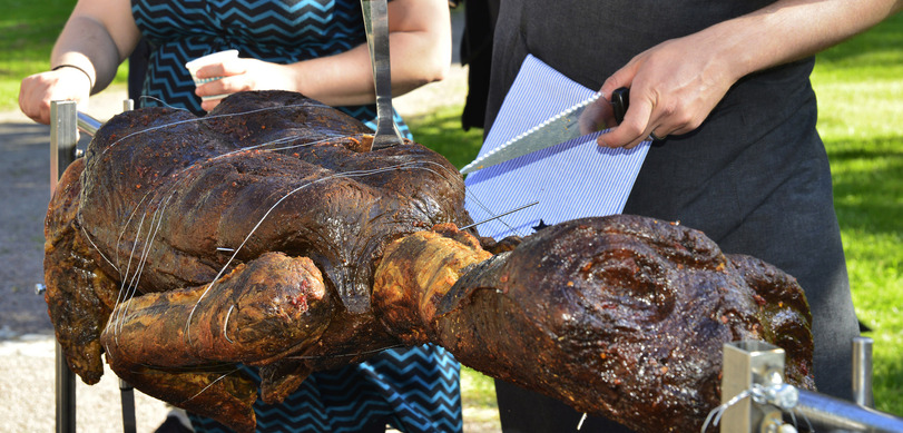 Skurrile Rezept Parodie Kochen mit Alienfleisch lustig%20(3) Heitere Haushaltsmomente mit einem Augenzwinkern Wie man mit Alienfleisch kocht und überlebt: Verrückte Rezepte Parodie Außerirdische, Humorvolle Alltagsgeschichten, Kochen, Tipps | Die Kirche des heiligen Al Bundy 17. März 2024 1