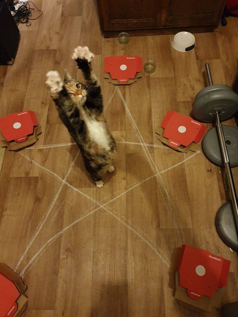 Versteckte Pentagramme im Alltag witzige Bilder%20(5) Lach dich schlapp: Lustige Bilder für den Spaßfaktor Versteckte Pentagramme: Wenn deine Sternzeichnungen das Tor zur Hölle öffnen Alltag, Lügen, Lustige Bilder, Lustiges | Die Kirche des heiligen Al Bundy 14. November 2023 6