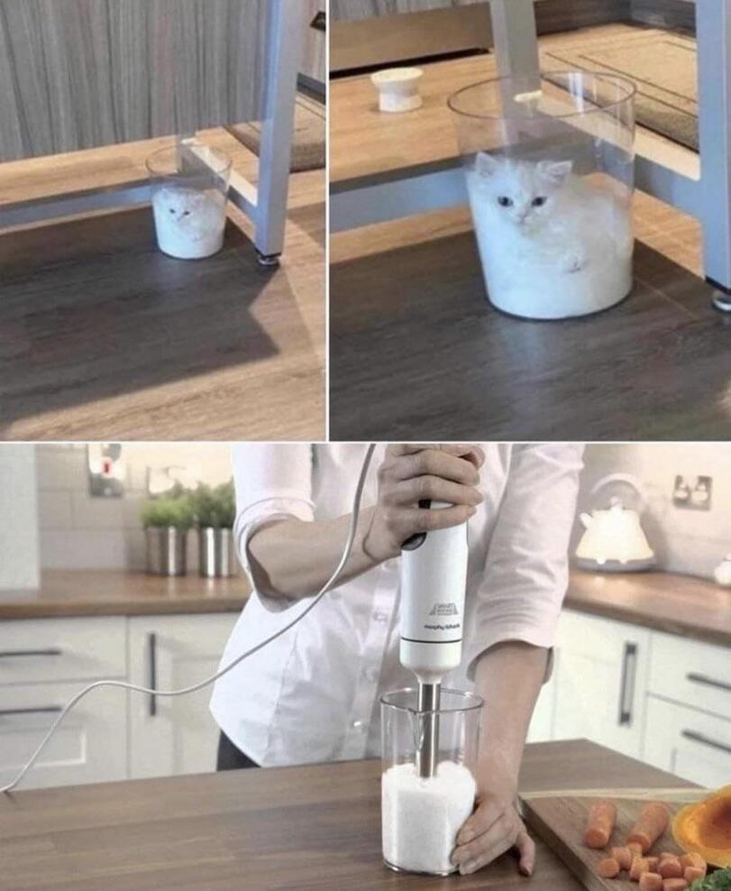 Lustige Kochbilder mit Katzen- Mixer benutzen in der Küche