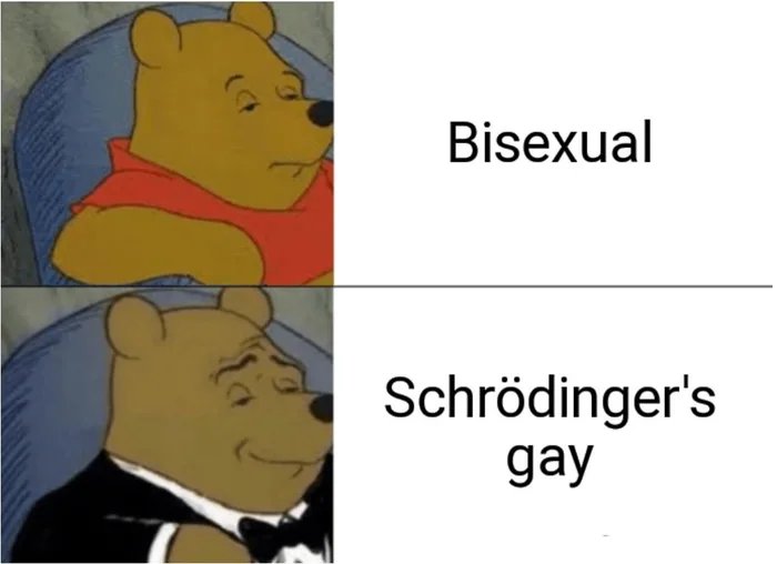 Heisst es Bisexuell oder Schroedingers Gay Motivation mit einem Augenzwinkern: Lachen für die Seele So wirst du heute noch für schwul/lesbisch gehalten Komische Begebenheiten des Lebens, Liebesleben, Lustiges über das Leben | Die Kirche des heiligen Al Bundy 23. August 2024 12