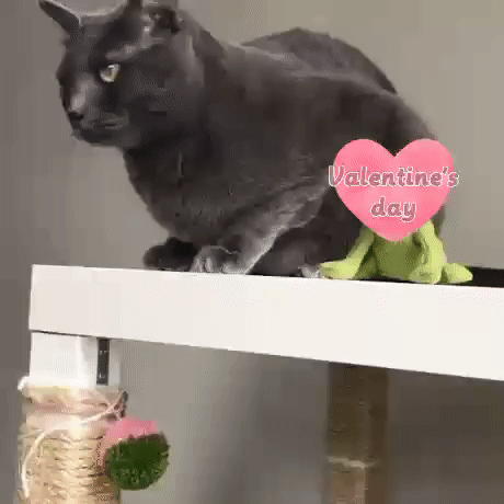 Lustige Sarkastische Valentinstag 2024 Bilder zum lachen%20(3) Ehechaos und Beziehungsspaß - Amüsante Liebeserlebnisse Valentinstag 2024 sarkastisch: Wo Männer, Liebe in Last-Minute-Geschenken auszudrücken Feiertag, Geschenke, Komische Begebenheiten des Lebens, Liebesleben, Mann, Valentinstag | Die Kirche des heiligen Al Bundy 12. Februar 2024 15