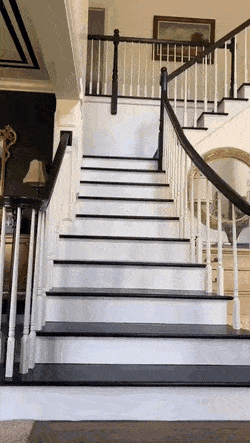 Der Tanz auf der Treppe ging schief lustig Menschliche Marotten: Lustige Geschichten aus dem Leben Die fabelhafte Flugfantasie: Wenn Vögel plötzlich neidisch werden Glück und Unglück, Humorvolle Alltagsgeschichten, Lustige Menschen, Lustiges über das Leben | Die Kirche des heiligen Al Bundy 7. April 2023 10