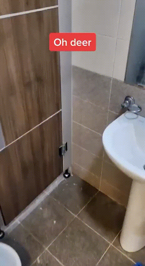 Oh deer Ueberraschung in Klokabine Reh friesst Klopapier Wissenswertes mit Witz und Humor Die unglaubliche Geschichte des Toilettensitzes und seine Bedeutung für die Menschheit Komische Begebenheiten des Lebens, Lustiges über das Leben, Toilette, Wissen zum lachen | Die Kirche des heiligen Al Bundy 19. April 2023 5