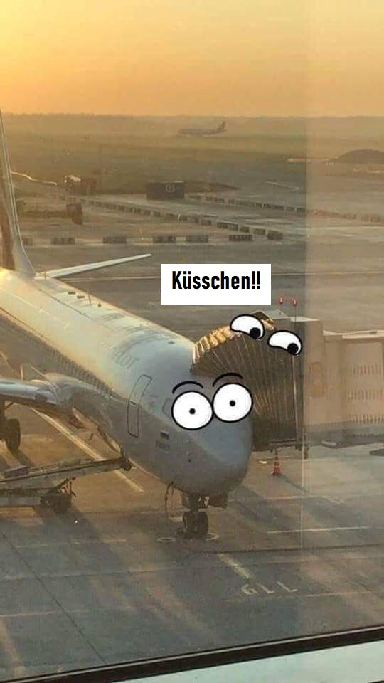 Skurrile Flugreisen Erlebnisse Spassbilder%20(4) Wissenswertes mit Witz und Humor Warum Flugreisen die ultimative Charakterprüfung sind Ausflug, Beschweren, Humorvolle Alltagsgeschichten, Urlaub | Die Kirche des heiligen Al Bundy 28. Juni 2023 1
