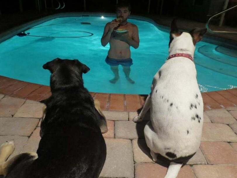 Baden im Gartenpool lustige Bilder%20(2) Freizeit mit Freude: Entspannung, pur Kann ein Gartenpool wirklich meine Lebenserwartung verkürzen? Humorvolle Alltagsgeschichten, Lustiges über das Leben, Schadenfreude, Zuhause | Die Kirche des heiligen Al Bundy 22. Mai 2023 2