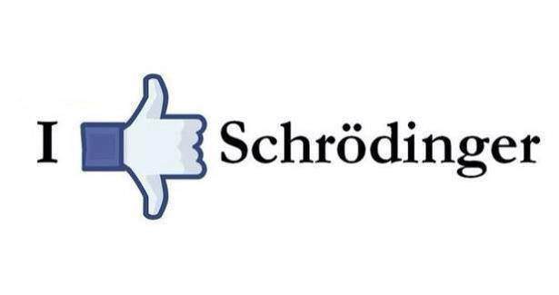 Schrödingers Geschirrspüler: Ist das Geschirr sauber oder schmutzig, solange man die Tür nicht öffnet? Haushalt, Komische Begebenheiten des Lebens, Küche | Die Kirche des heiligen Al Bundy 3. Mai 2023 12