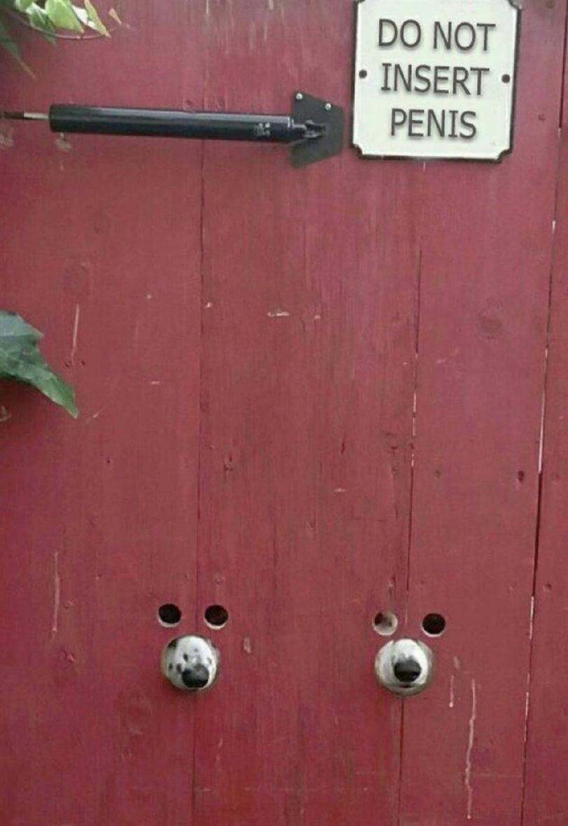 Lebe jeden Tag als w%C3%A4re es dein letzter Humor Motivation%20(3) Motivation mit einem Augenzwinkern: Lachen für die Seele Lebe jeden Tag, als wäre es dein letzter: Humorvolle Untergangsphilosophien und ihre Wendungen Komische Begebenheiten des Lebens, Lustiges über das Leben, Motivation | Die Kirche des heiligen Al Bundy 4. Dezember 2023 10