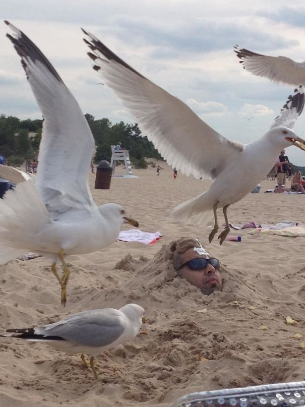 Peinliche Situation im Strand Sand eingegraben sein Menschliche Marotten: Lustige Geschichten aus dem Leben Die Schadenfreude, die man verspürt - wenn man zusieht wenn andere Pech haben Glück und Unglück, Komische Begebenheiten des Lebens, Lustige Menschen, Schadenfreude | Die Kirche des heiligen Al Bundy 24. März 2023 5