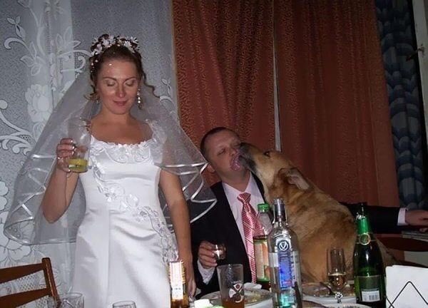 Lustige Hochzeitspannen verursacht typisch vom Mann%20(6) Ehechaos und Beziehungsspaß - Amüsante Liebeserlebnisse Zu spät, zu angetrunken: Lustige Hochzeitspannen, die typisch Mann sind Besoffene Geschichte, Ehe, Ehemann, Komische Begebenheiten des Lebens | Die Kirche des heiligen Al Bundy 25. Februar 2024 10